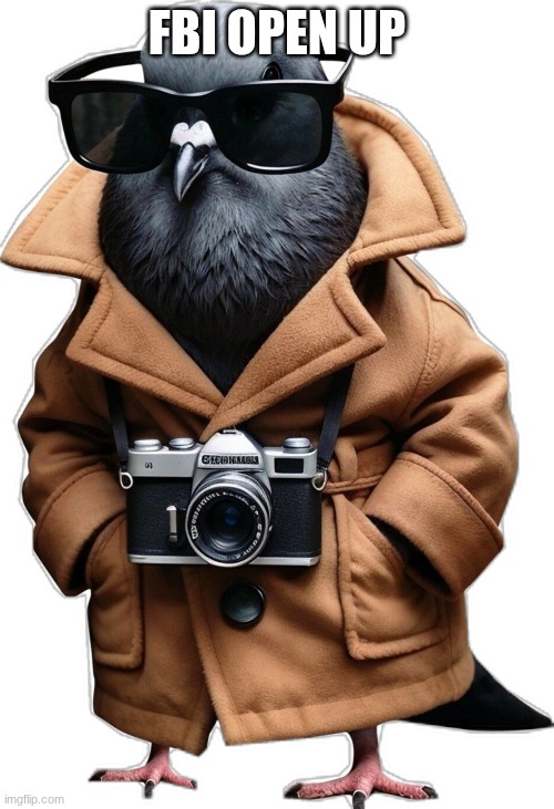 Spijuniro Golubiro | FBI OPEN UP | image tagged in spijuniro golubiro | made w/ Imgflip meme maker