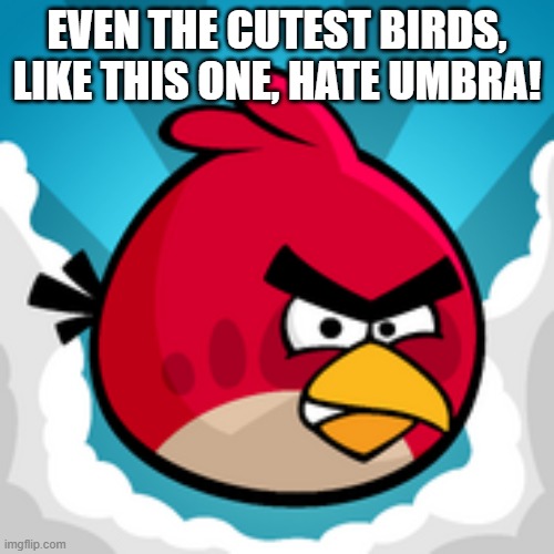 UMBRA FUCKING SUCKS. | EVEN THE CUTEST BIRDS, LIKE THIS ONE, HATE UMBRA! | image tagged in angy birbs,umbrella | made w/ Imgflip meme maker