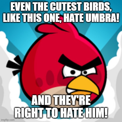 UMBRA FUCKING SUCKS. | EVEN THE CUTEST BIRDS, LIKE THIS ONE, HATE UMBRA! AND THEY'RE RIGHT TO HATE HIM! | image tagged in angy birbs,umbrella | made w/ Imgflip meme maker