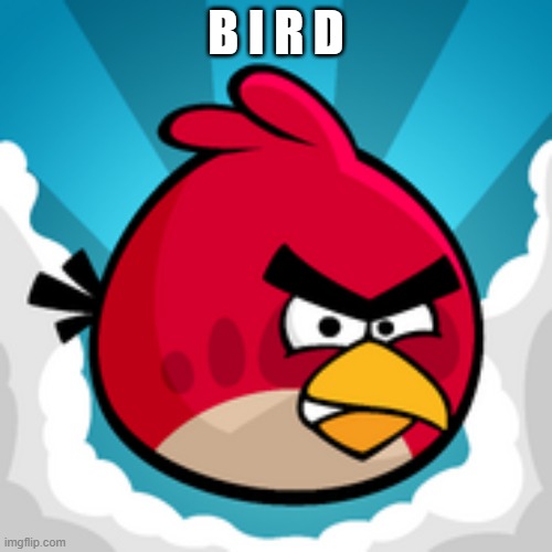 Angy Birbs | B I R D | image tagged in angy birbs | made w/ Imgflip meme maker