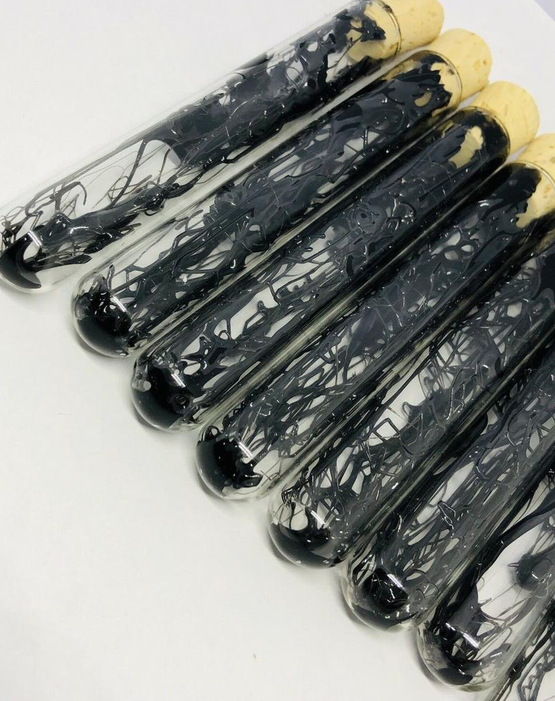 Venommm Blank Meme Template