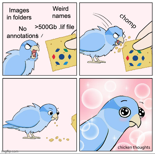 Once you go OME, you never go back | Weird 
names; Images in folders; No annotations; >500Gb .lif file | made w/ Imgflip meme maker
