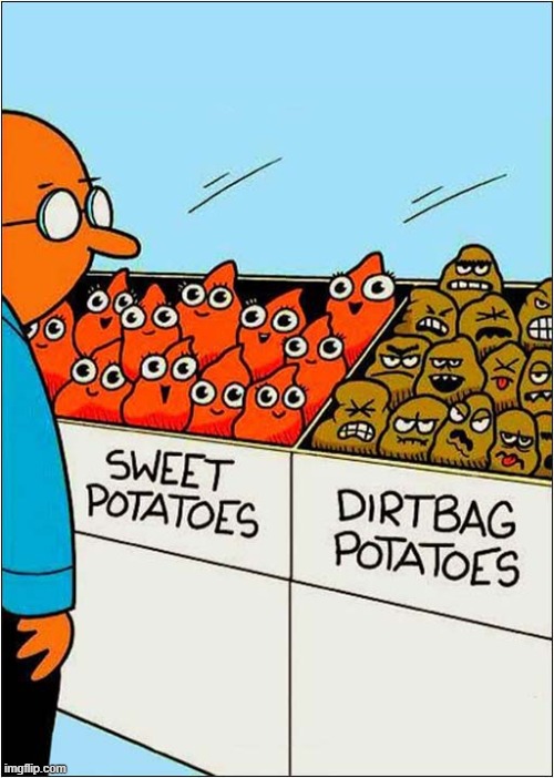 There Are Two Types Of Potato ... | image tagged in potatoes,sweet,dirtbags | made w/ Imgflip meme maker