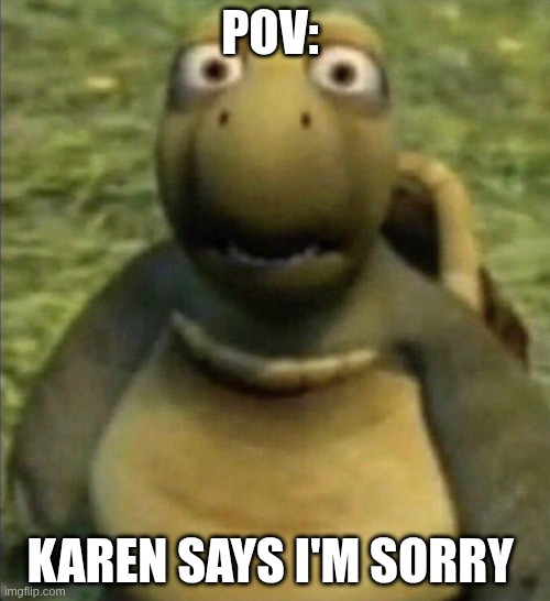Karen says what? | POV:; KAREN SAYS I'M SORRY | image tagged in shocked turtle | made w/ Imgflip meme maker