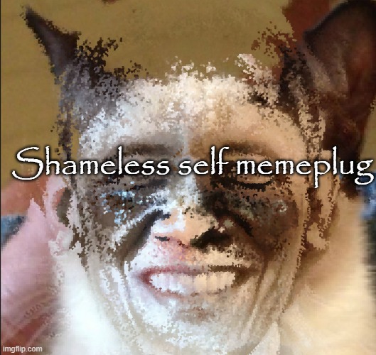 Cat obama | Shameless self memeplug | image tagged in cat obama | made w/ Imgflip meme maker