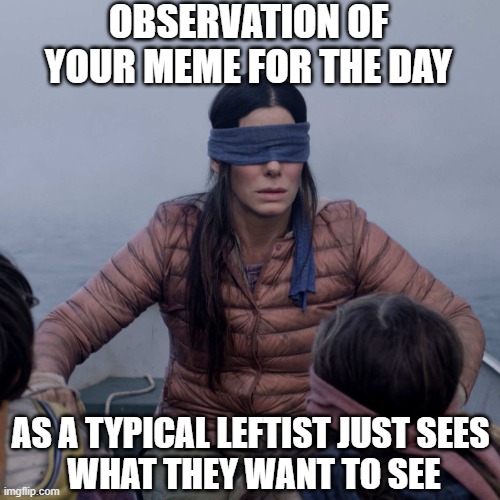 Bird Box Meme | OBSERVATION OF YOUR MEME FOR THE DAY AS A TYPICAL LEFTIST JUST SEES
 WHAT THEY WANT TO SEE | image tagged in memes,bird box | made w/ Imgflip meme maker