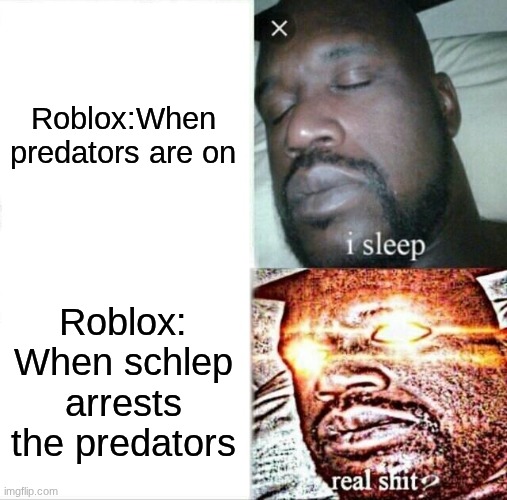 Sleeping Shaq | Roblox:When predators are on; Roblox: When schlep arrests the predators | image tagged in memes,sleeping shaq | made w/ Imgflip meme maker