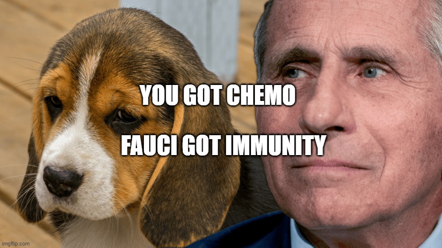 Fauci's Ouchie | YOU GOT CHEMO; FAUCI GOT IMMUNITY | image tagged in fauci's ouchie | made w/ Imgflip meme maker
