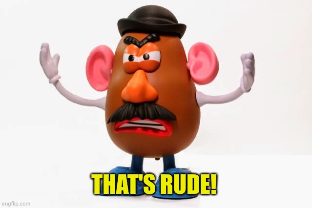 Mr. Potato Head angry | THAT'S RUDE! | image tagged in mr potato head angry | made w/ Imgflip meme maker