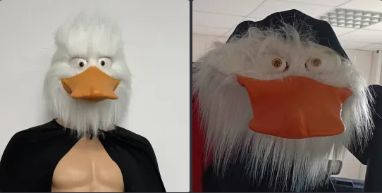 before_after_duck Blank Meme Template