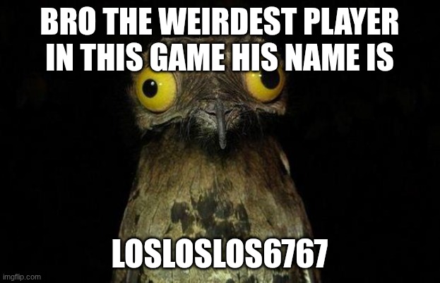 Wierd stuff I do potoo | BRO THE WEIRDEST PLAYER IN THIS GAME HIS NAME IS; LOSLOSLOS6767 | image tagged in wierd stuff i do potoo | made w/ Imgflip meme maker