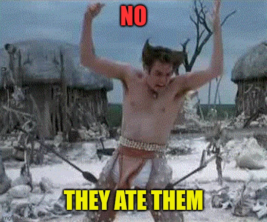 Arrows in the knees | NO THEY ATE THEM | image tagged in arrows in the knees | made w/ Imgflip meme maker