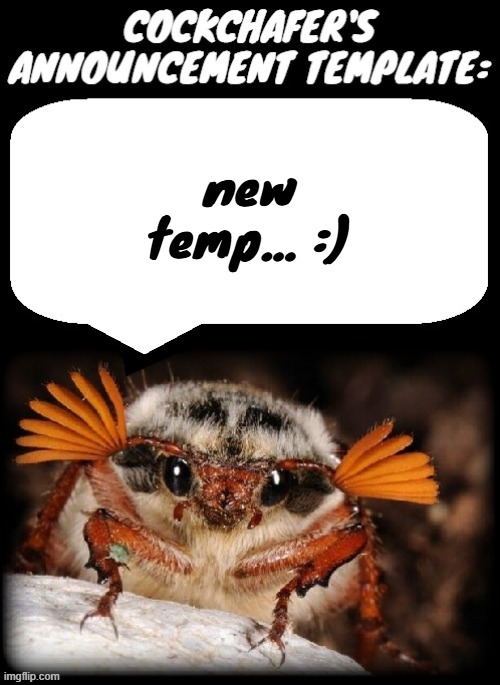Do you guys like it? | new temp... :) | image tagged in cockchafer/odd announcement template | made w/ Imgflip meme maker