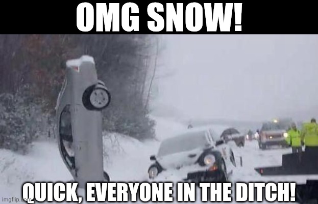 OMG Snow! Quick, Everyone In The Ditch! | OMG SNOW! QUICK, EVERYONE IN THE DITCH! | image tagged in chrisjoines1 | made w/ Imgflip meme maker