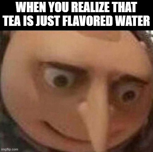 and that memes only get to the front page if the imgflip mods aprrove them | WHEN YOU REALIZE THAT TEA IS JUST FLAVORED WATER | image tagged in gru meme,funny memes,memes,gru's plan,tea,stop reading the tags | made w/ Imgflip meme maker
