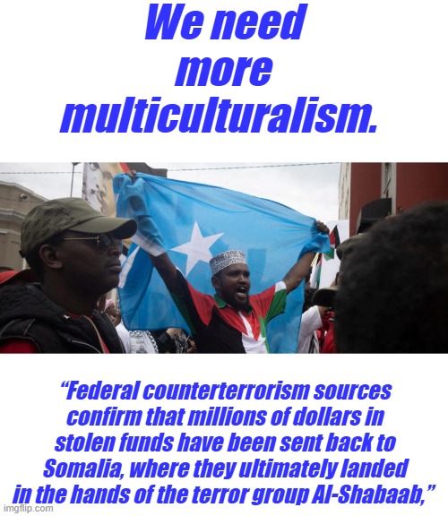 Dems are doing a great Job in destroying America, the enemies within Party should be proud | We need more multiculturalism. “Federal counterterrorism sources confirm that millions of dollars in stolen funds have been sent back to Somalia, where they ultimately landed in the hands of the terror group Al-Shabaab,” | made w/ Imgflip meme maker