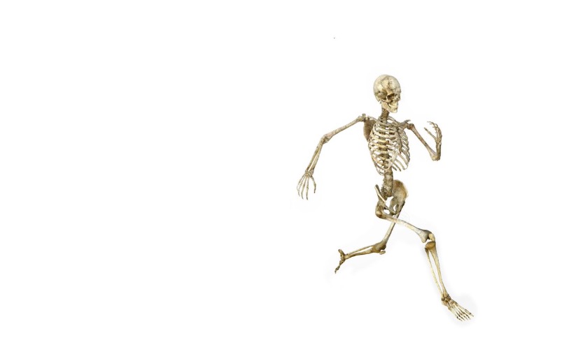 run skeleton | image tagged in run skeleton | made w/ Imgflip meme maker