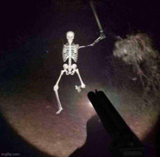 Skeleton running at you | image tagged in skeleton running at you | made w/ Imgflip meme maker