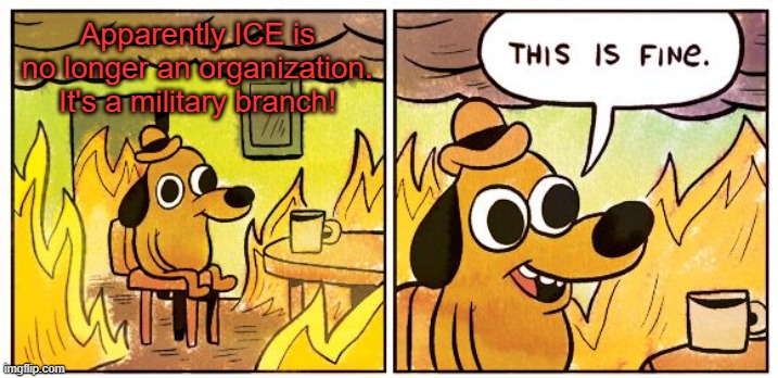 This Is Fine Meme | Apparently ICE is no longer an organization. It's a military branch! | image tagged in memes,this is fine | made w/ Imgflip meme maker