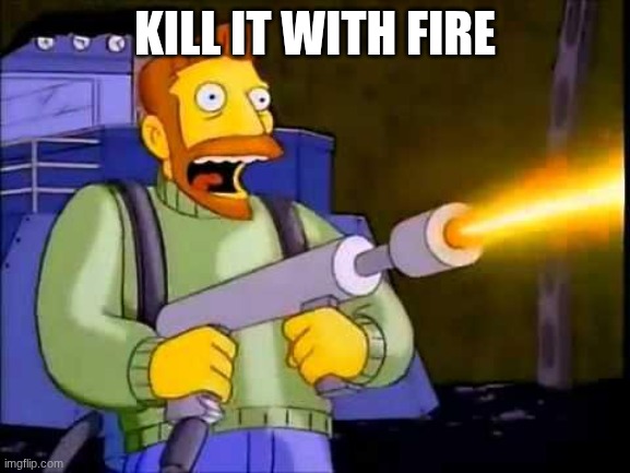 Kill it with fire | KILL IT WITH FIRE | image tagged in kill it with fire | made w/ Imgflip meme maker