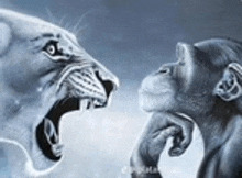 rage bait Blank Meme Template