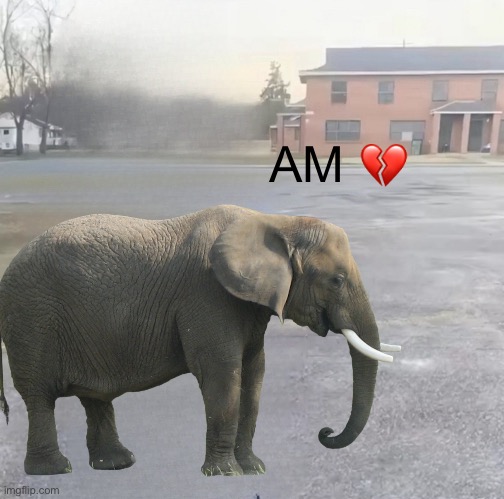 AM | AM 💔 | image tagged in blank sybau maker | made w/ Imgflip meme maker