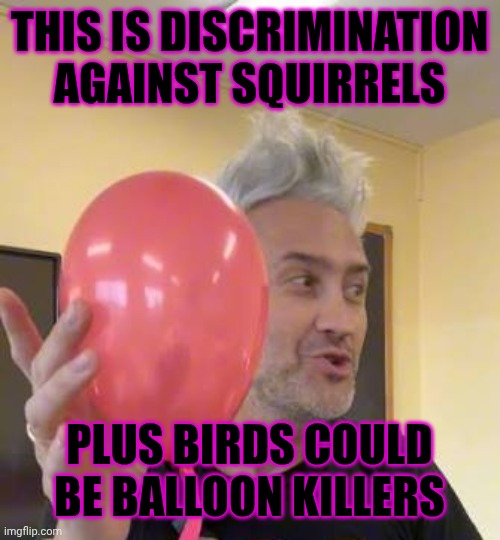 THIS IS DISCRIMINATION AGAINST SQUIRRELS PLUS BIRDS COULD BE BALLOON KILLERS | made w/ Imgflip meme maker