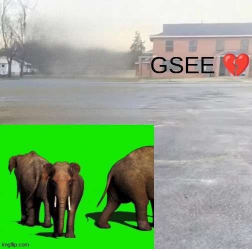 green screen elephant effect | made w/ Imgflip meme maker