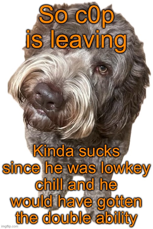 Oh well, someone else will get the double ability then (currently it might be Philya) | So c0p is leaving; Kinda sucks since he was lowkey chill and he would have gotten the double ability | image tagged in norther's dog | made w/ Imgflip meme maker