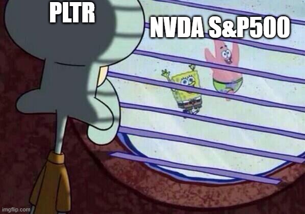 Squidward window | PLTR; NVDA S&P500 | image tagged in squidward window | made w/ Imgflip meme maker