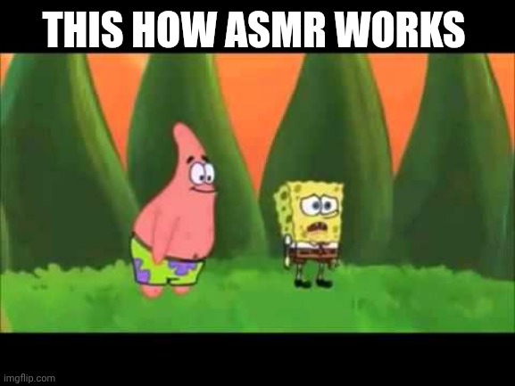 asmr weed | THIS HOW ASMR WORKS | image tagged in asmr weed | made w/ Imgflip meme maker