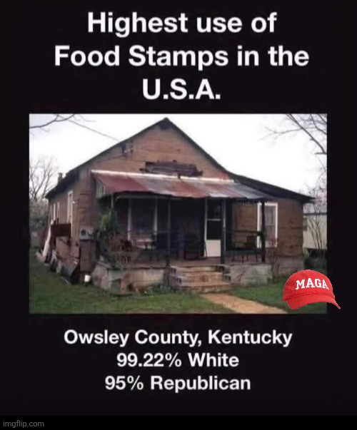 The highest | image tagged in trump,maga,donald trump,conservative,republican,nevertrump | made w/ Imgflip meme maker