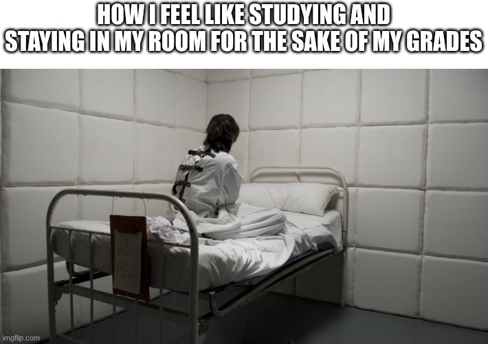 I have a test after thanksgiving break... | HOW I FEEL LIKE STUDYING AND STAYING IN MY ROOM FOR THE SAKE OF MY GRADES | image tagged in insane asylum | made w/ Imgflip meme maker