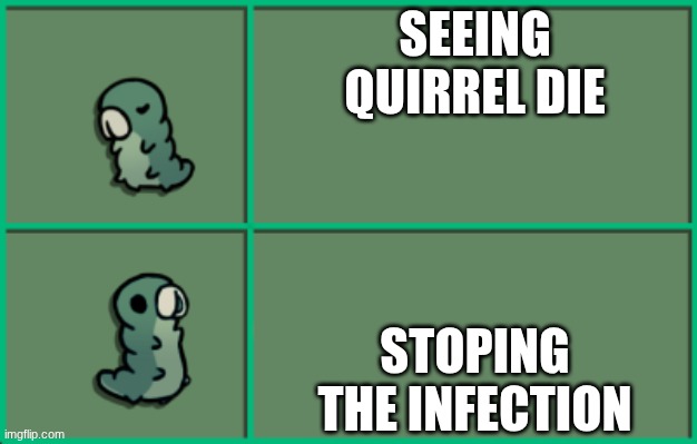 Hollow Knight Grub | SEEING QUIRREL DIE; STOPING THE INFECTION | image tagged in hollow knight grub | made w/ Imgflip meme maker