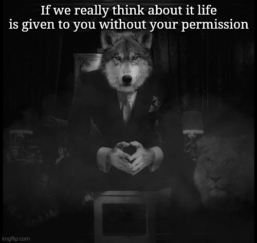 Wolf on a chair | If we really think about it life is given to you without your permission | image tagged in wolf on a chair | made w/ Imgflip meme maker