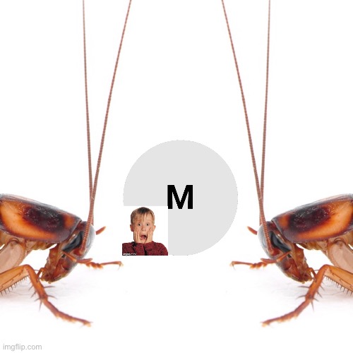 m! | image tagged in schizophrenic roach | made w/ Imgflip meme maker