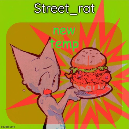 new temp | image tagged in street rat's femtanyl temp | made w/ Imgflip meme maker