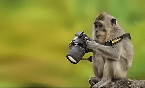 Monkey holding a photo camera Blank Meme Template
