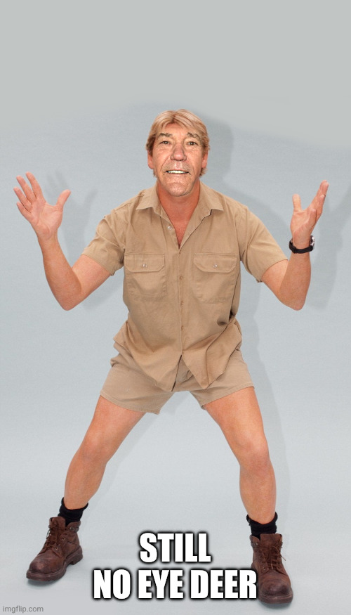 kewlew | STILL NO EYE DEER | image tagged in kewlew | made w/ Imgflip meme maker