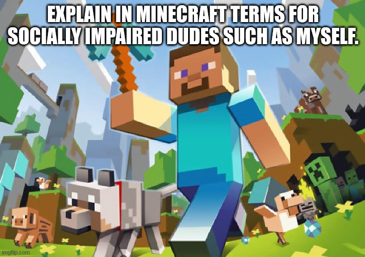 Minecraft  | EXPLAIN IN MINECRAFT TERMS FOR SOCIALLY IMPAIRED DUDES SUCH AS MYSELF. | image tagged in minecraft | made w/ Imgflip meme maker