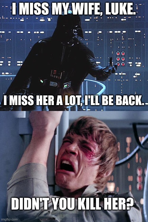 I MISS MY WIFE, LUKE. I MISS HER A LOT, I'LL BE BACK. DIDN'T YOU KILL HER? | image tagged in darth vader - come to the dark side,luke nooooo | made w/ Imgflip meme maker