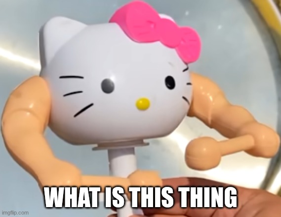 hell o kitty | WHAT IS THIS THING | image tagged in hell o kitty | made w/ Imgflip meme maker