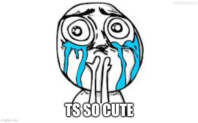 Crying Because Of Cute Meme | TS SO CUTE | image tagged in memes,crying because of cute | made w/ Imgflip meme maker