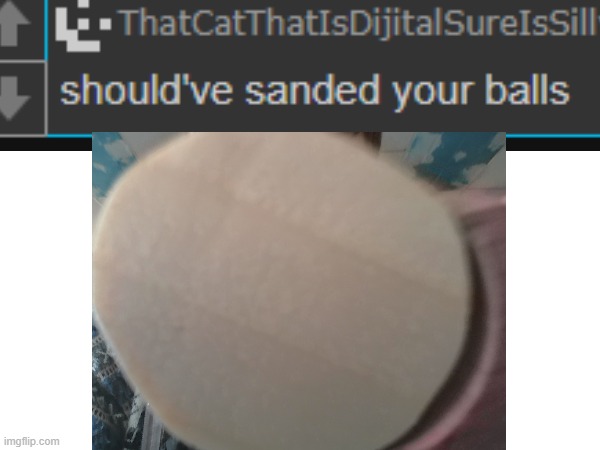 fun fact i did sand a ball | made w/ Imgflip meme maker