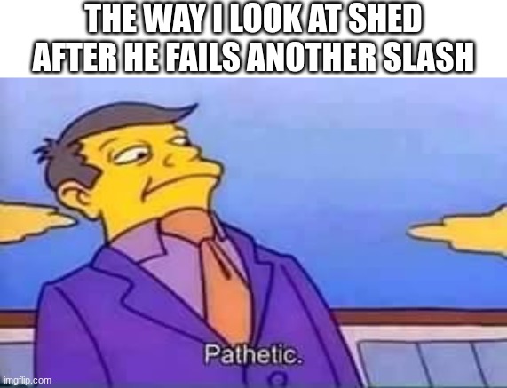 skinner pathetic | THE WAY I LOOK AT SHED AFTER HE FAILS ANOTHER SLASH | image tagged in skinner pathetic | made w/ Imgflip meme maker