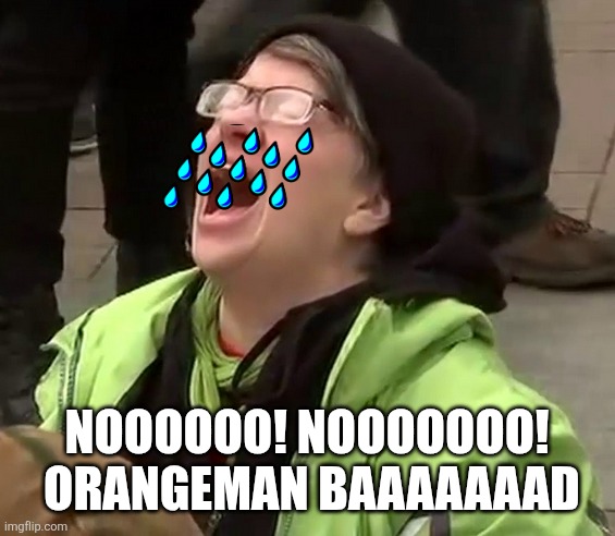Crying liberal | NOOOOOO! NOOOOOOO!  ORANGEMAN BAAAAAAAD | image tagged in crying liberal | made w/ Imgflip meme maker