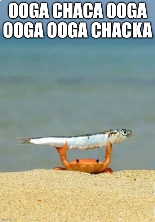 OOGA CHACKA | OOGA CHACA OOGA OOGA OOGA CHACKA | image tagged in funny,crab,fish | made w/ Imgflip meme maker