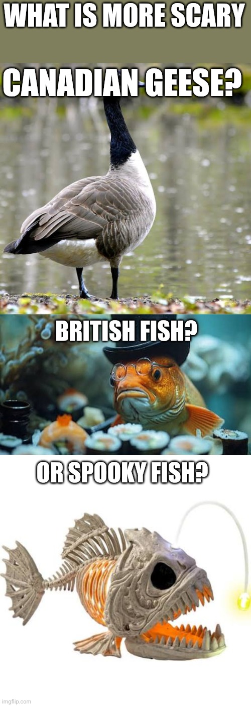 CHOOSE?! | WHAT IS MORE SCARY; CANADIAN GEESE? BRITISH FISH? OR SPOOKY FISH? | image tagged in fish,canada,british empire,spanish inquisition | made w/ Imgflip meme maker