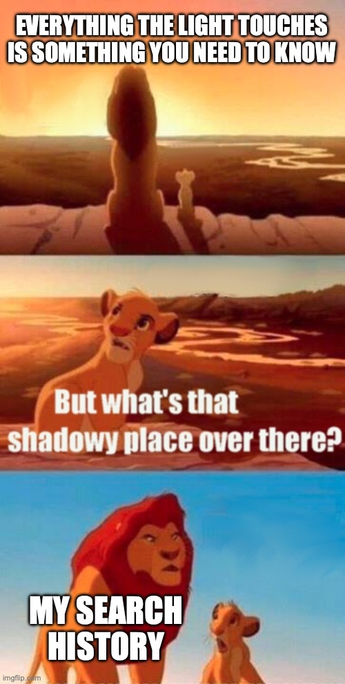 Simba Shadowy Place | EVERYTHING THE LIGHT TOUCHES IS SOMETHING YOU NEED TO KNOW; MY SEARCH HISTORY | image tagged in memes,simba shadowy place | made w/ Imgflip meme maker