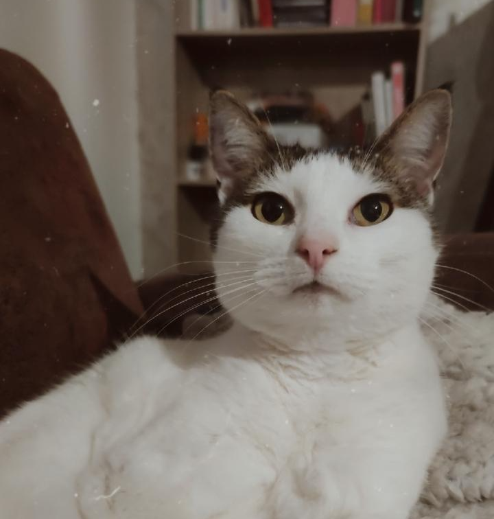 Without Me Blank Meme Template